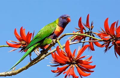 Boek met vertrouwen met 's Werelds meest toonaangevende Ferry Website